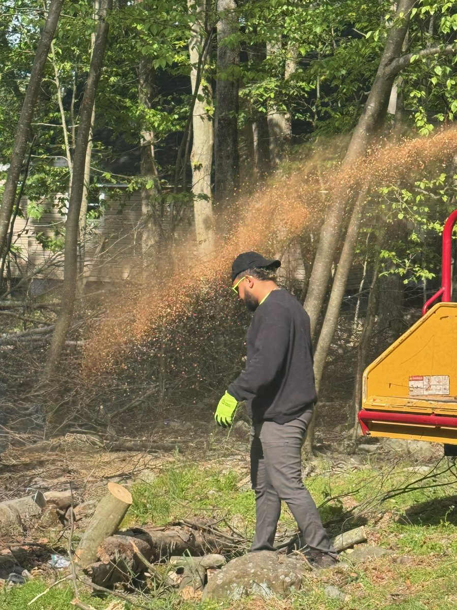 Tree Cutting